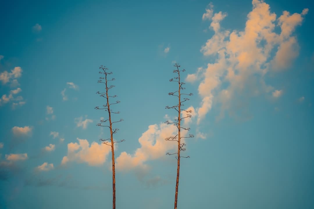 漳浦开渔 千帆竞发赴蓝海